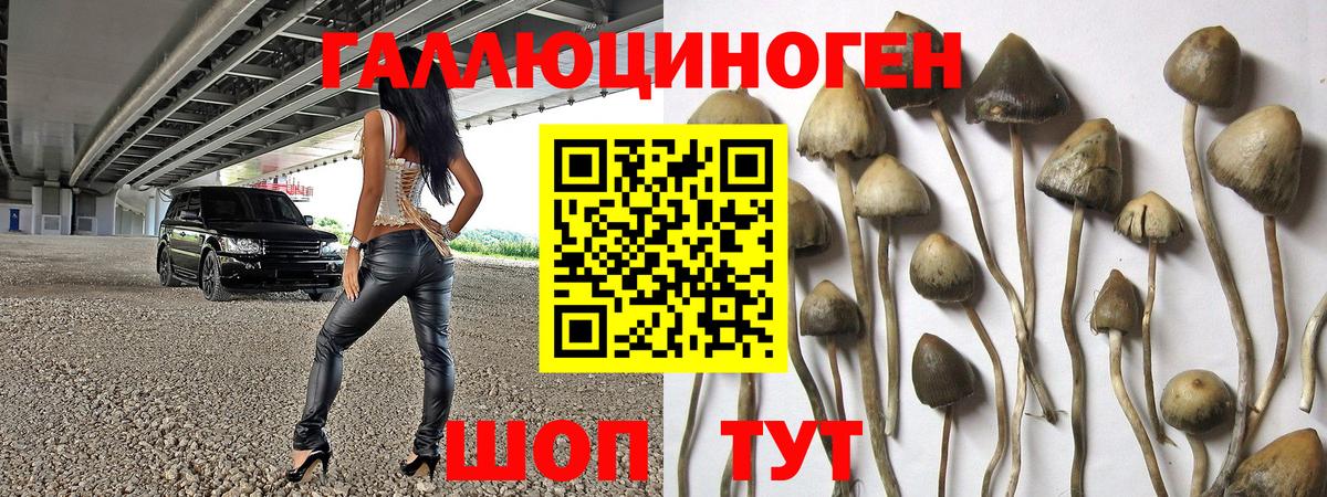 Ялта  Псилоцибиновые грибы мицелий  Галлюциногенные грибы Cubensis  Вход с VPN 