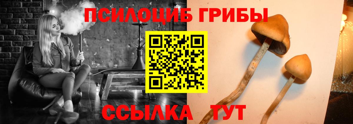 Псилоцибиновые грибы GOLDEN TEACHER Ялта